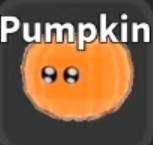 Pumpkin